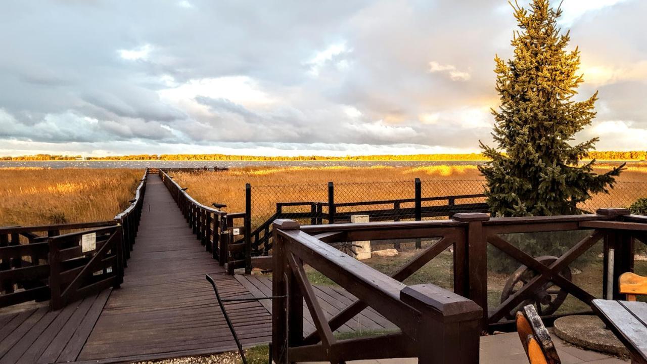 Avila Park & Spa Дзивновек Екстериор снимка