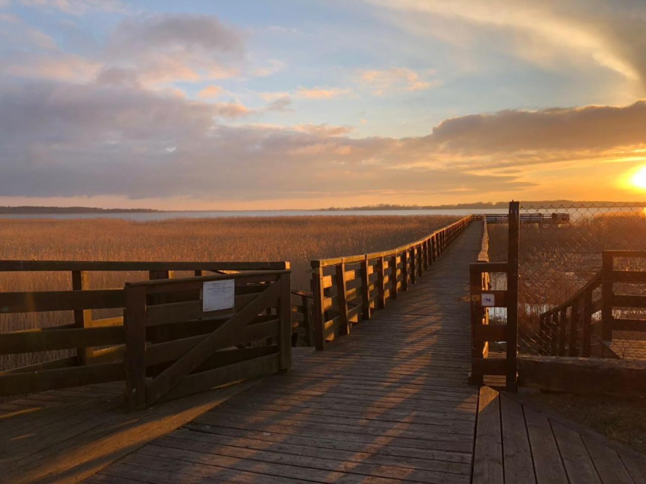 Avila Park & Spa Дзивновек Екстериор снимка